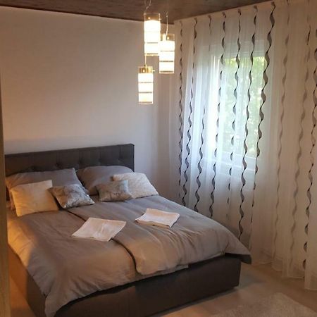 Gutenberg Utca Apartman 세게드 외부 사진